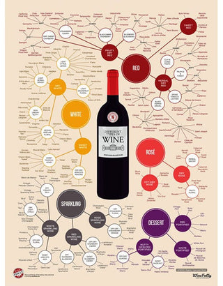 Types of Wine Poster